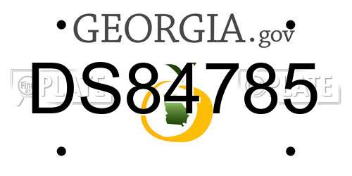 DS84785 Georgia License Plate