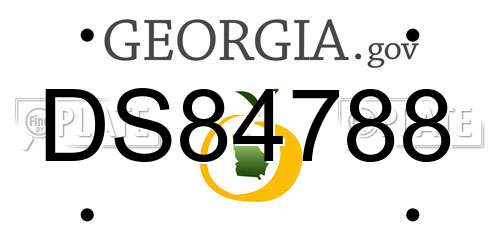 DS84788 Georgia License Plate