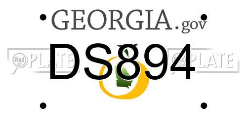 DS894 Georgia License Plate