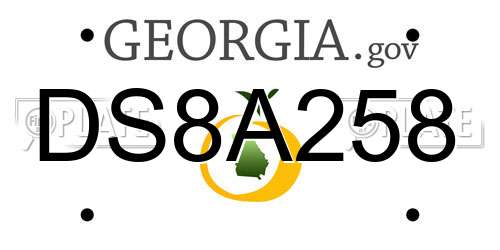 DS8A258 Georgia License Plate