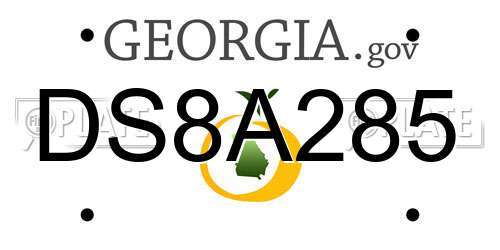 DS8A285 Georgia License Plate