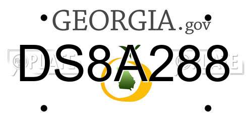 DS8A288 Georgia License Plate