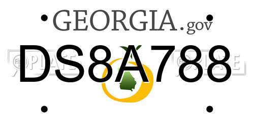 DS8A788 Georgia License Plate
