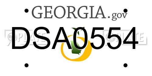 DSA0554 Georgia License Plate