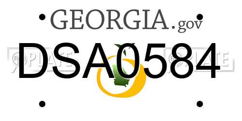 DSA0584 Georgia License Plate