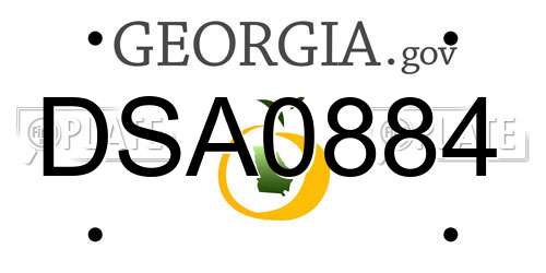 DSA0884 Georgia License Plate