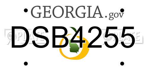 DSB4255 Georgia License Plate