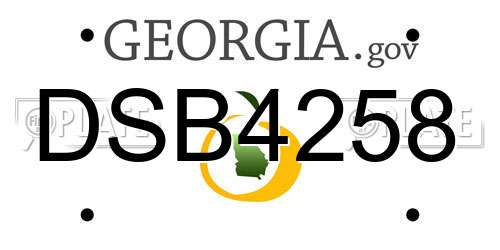 DSB4258 Georgia License Plate
