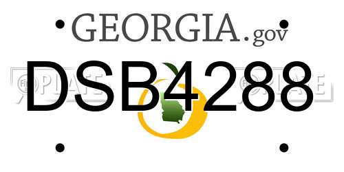 DSB4288 Georgia License Plate