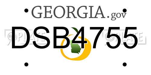 DSB4755 Georgia License Plate
