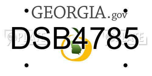 DSB4785 Georgia License Plate