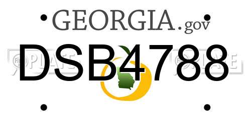DSB4788 Georgia License Plate