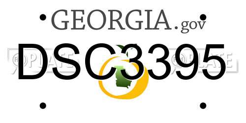 DSC3395 Georgia License Plate