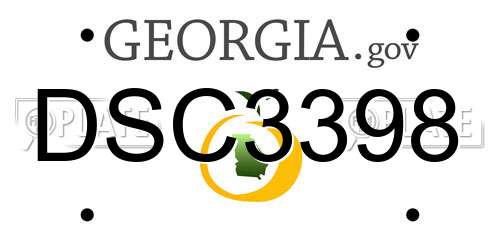 DSC3398 Georgia License Plate