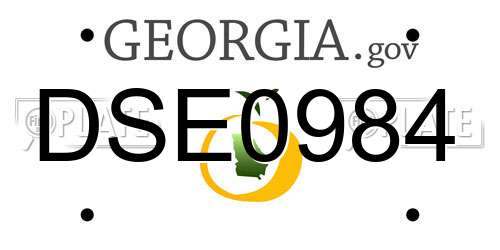 DSE0984 Georgia License Plate
