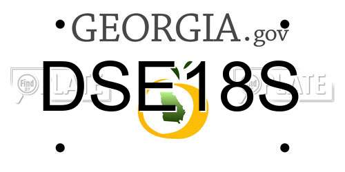 DSE18S Georgia License Plate