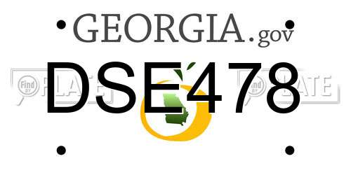 DSE478 Georgia License Plate