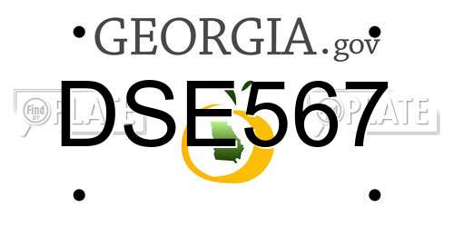 DSE567 Georgia License Plate
