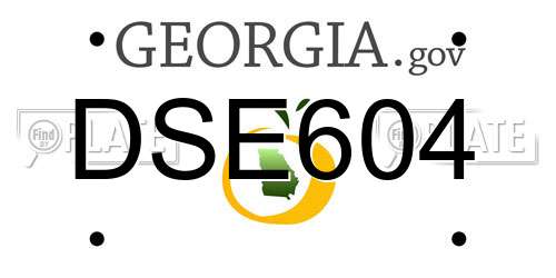 DSE604 Georgia License Plate