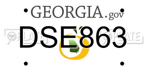 DSE863 Georgia License Plate