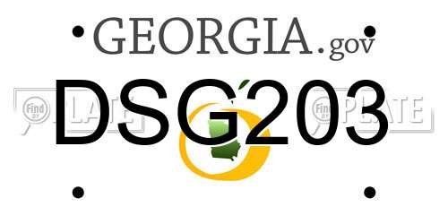 DSG203 Georgia License Plate