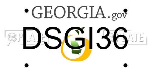 DSGI36 Georgia License Plate