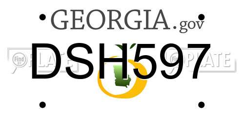 DSH597 Georgia License Plate