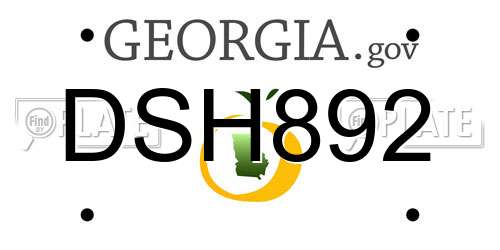 DSH892 Georgia License Plate