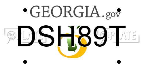 DSH89T Georgia License Plate