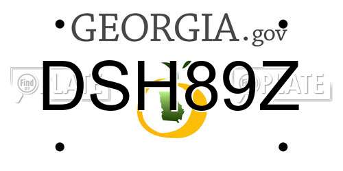 DSH89Z Georgia License Plate