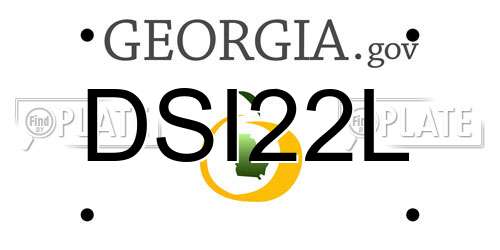 DSI22L Georgia License Plate