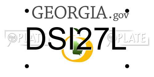 DSI27L Georgia License Plate