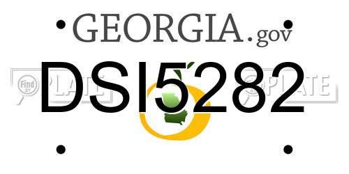 DSI5282 Georgia License Plate
