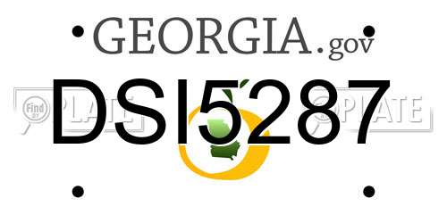 DSI5287 Georgia License Plate