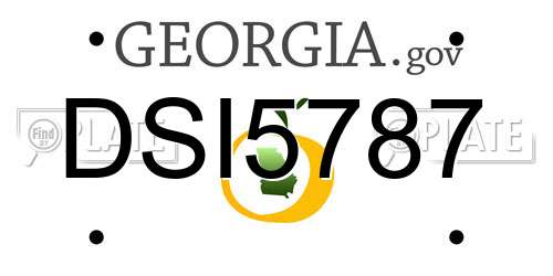 DSI5787 Georgia License Plate