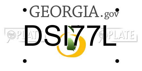 DSI77L Georgia License Plate