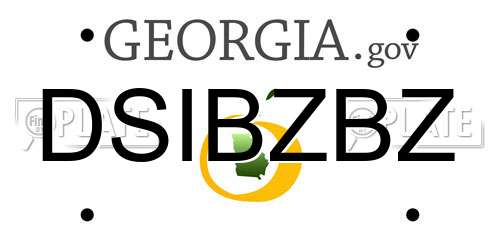 DSIBZBZ Georgia License Plate