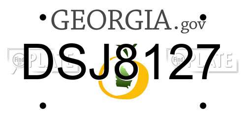 DSJ8127 Georgia License Plate