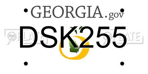 DSK255 Georgia License Plate