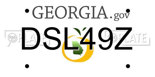DSL49Z Georgia License Plate