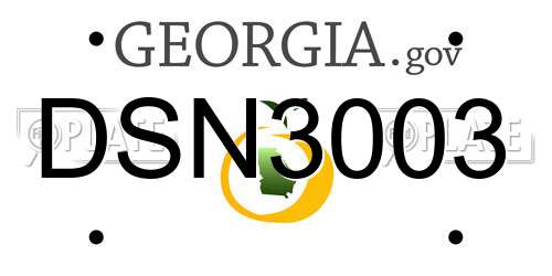 DSN3003 Georgia License Plate