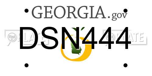 DSN444 Georgia License Plate