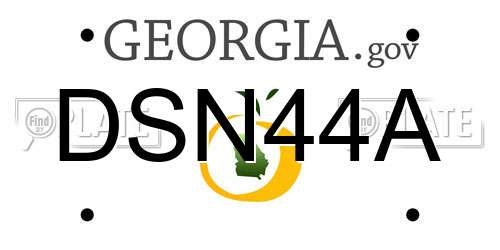 DSN44A Georgia License Plate