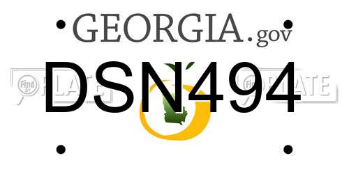 DSN494 Georgia License Plate