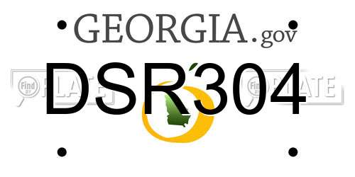 DSR304 Georgia License Plate