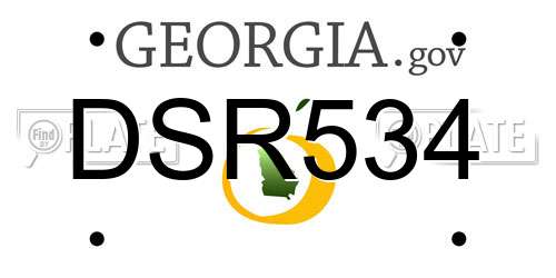 DSR534 Georgia License Plate
