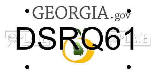 DSRQ61 Georgia License Plate