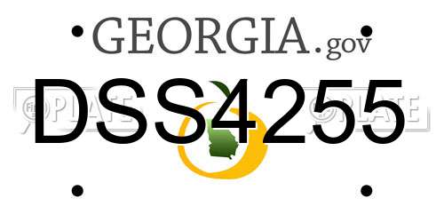 DSS4255 Georgia License Plate