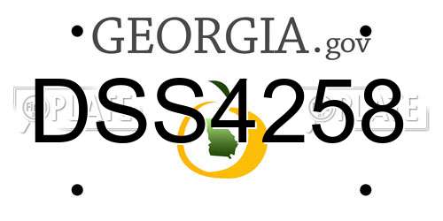 DSS4258 Georgia License Plate