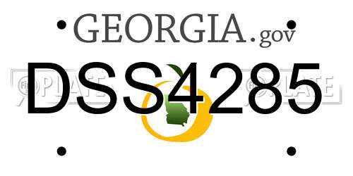 DSS4285 Georgia License Plate